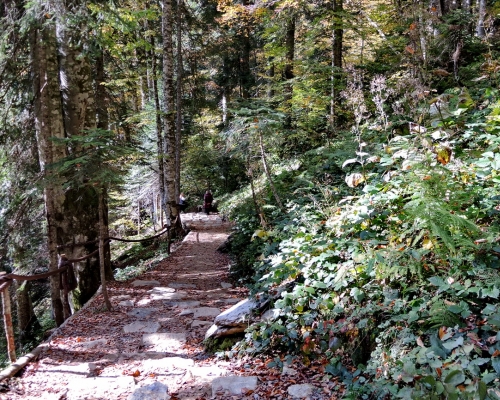 Парк в горах