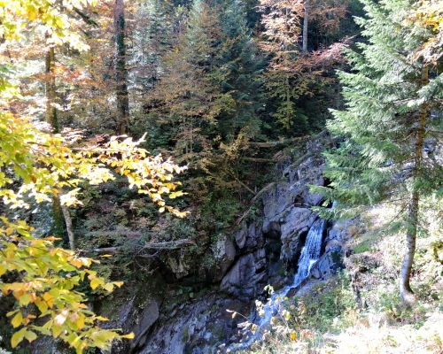 Парк в горах