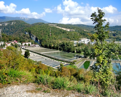 Форелевое хозяйство