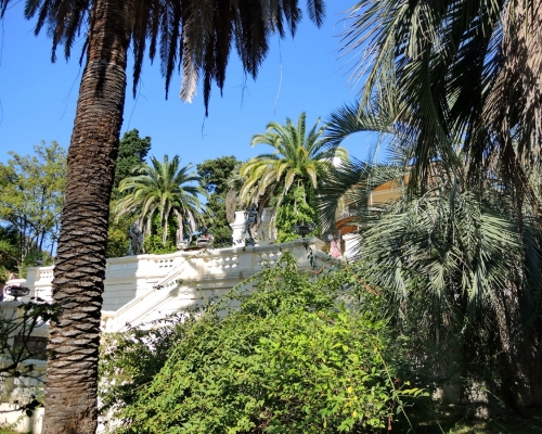 Сочи. Дендропарк