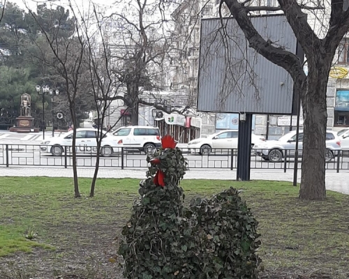 Курица ?
